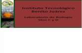 I.T.S. Benito Juárez -  lab. Biología 5to Cy D QQBB