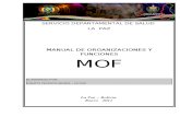 Manual de Organizacion yFunciones 2011
