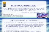 MITOCONDRIAS SESION 2