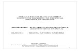 Miguel Antonio Sanchez - Manual de Electric Id Ad Basica Nivel 1