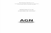 AGN - Manual Nro 5 - Herramientas de Auditoría de Gestión