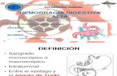 Hemorragia Digestiva Alta (+)