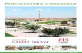 2228 Perfil Economico Ciudad Bolivar