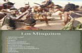 Los Misquitos