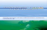 Contaminacion Total en Playa Tamarindo