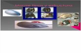 Mouse Tipos y Estructura