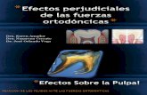 Biomecánica en Ortodoncia
