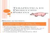 Terapeutica en Porcinocultura