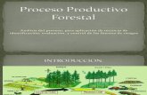 Proceso Productivo Forestal PPT