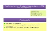Autopsia en Recién Nacido feto aborto