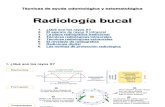 Radiología bucal