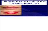 Dermatosis labiales y peri-labiales