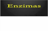 ENZIMAS RECOP 2011