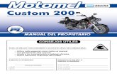 Custom 200 - Manual Del rio