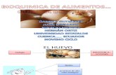 Bioquimica Del Huevo