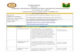 Anexo 01 - Informe Detalaldo Del Proyecto a Nivel Institucional - 2011