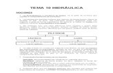 TEMA 10. HIDRAULICA - CAE