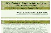 15041022 Medidas Cautelares en Los Procesos Constitucionales