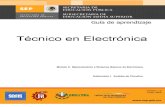 M2 S1 electronica