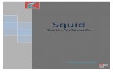 Squid: Teoría y Configuración