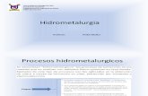 Hidrometalurgia Pia 58162