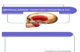 Articulacion Temporo Mandibular