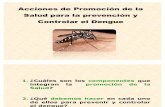 Capacitacion Dengue Vectores y Promocion