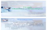Instrumental Quirúrgico Obstetricia y ginecologia