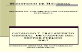Catalogo y Tratamiento de Cuentas Del Sector Publico 2007