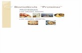 Biomoléculas - Proteínas