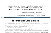 4. MONITORIZACIÓN DE LA VALORACIÓN DE PIEL Y MUCOSAS. original