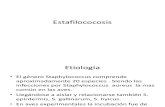 Estafilococosis articulares