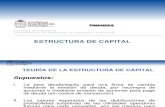 Estructura de Capital y Costo Del Equity