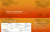 Arco Reflejo-Angie