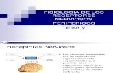 Fisiologia de Los Receptores Nerviosos Perifericos (I)