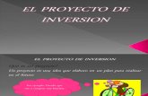 Diapositivas Proyecto de Inversion