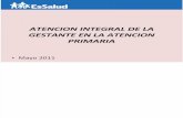 Atencion Integral Del La Gestante en La Atencion Primaria Lic. Flor Agurto