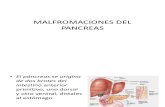 Malfromaciones Del Pancreas