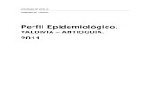 Perfil Epidemiologico Valdivia