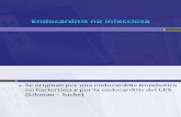 Endocarditis No Infecciosa