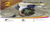 79228999 PRODUCTOS DEL PAIS Tara Ayacucho Manual de Instalacion de Plantones de Tara