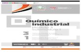 Guia Formativa: Químico Industrial 31, CECyTEH Gobierno de Hidalgo