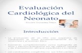 Evaluación cardiológica del Neonato