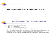 2.-TIROIDES CLASES[1]