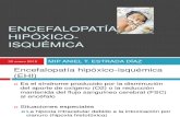 Ani Encefalopatia Hipoxico-Isquemica