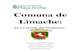 Comuna de Limache