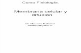 1 Membrana Celular y Difusion