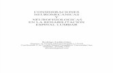 37649478 Consideraciones Neuromecanicas y Neurofisiologicas en La Rehab CL