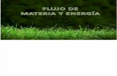 FLUJO, MATERIA Y ENERGÍA (1)