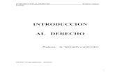 Introduccion Al Derecho - Nelson Caucoto